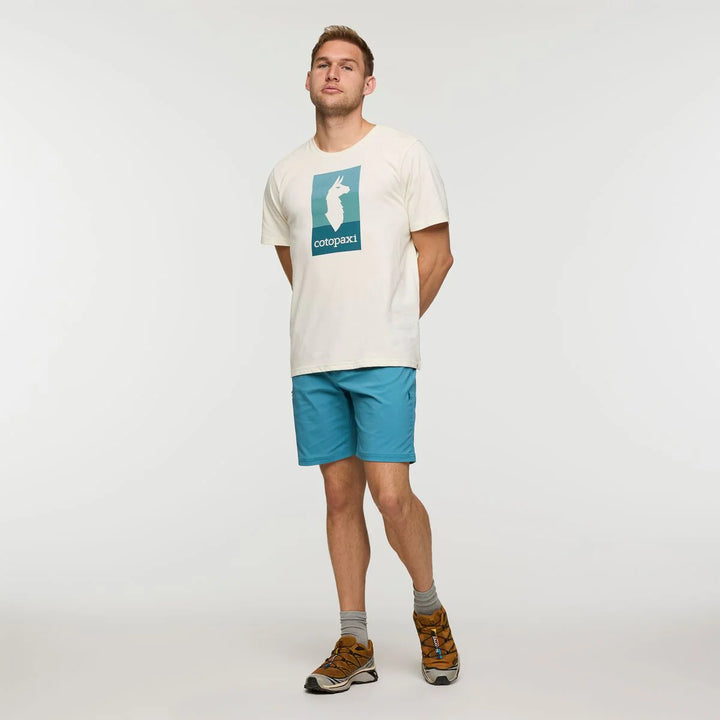 Llama Block T Shirt - Bone