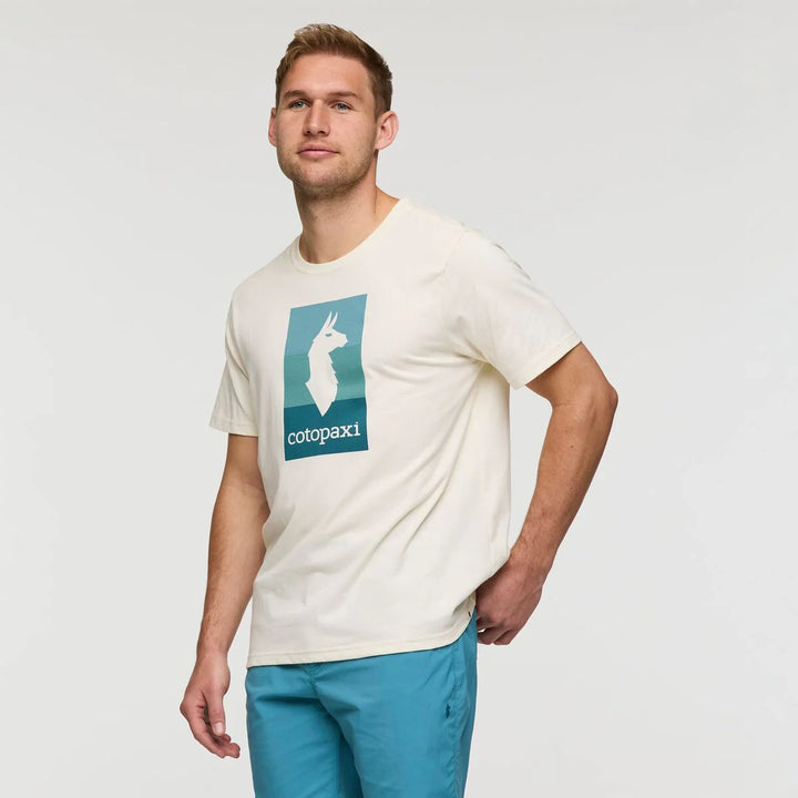 Llama Block T Shirt - Bone
