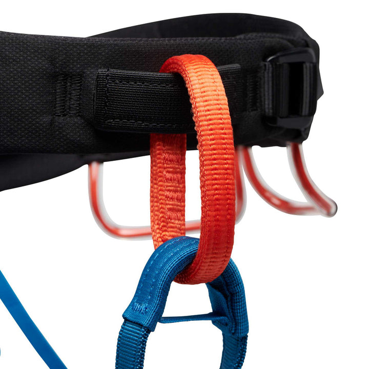 M Momentum Harness - Kingfisher