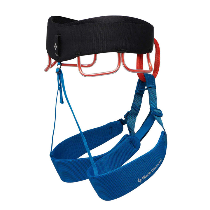 M Momentum Harness - Kingfisher