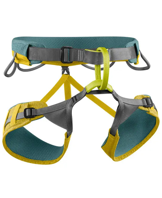 Jay III Climbing Harness - Wasabi