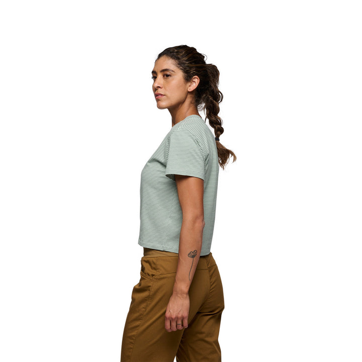Stripe Crop Tee - Foam Green-Laurel Green