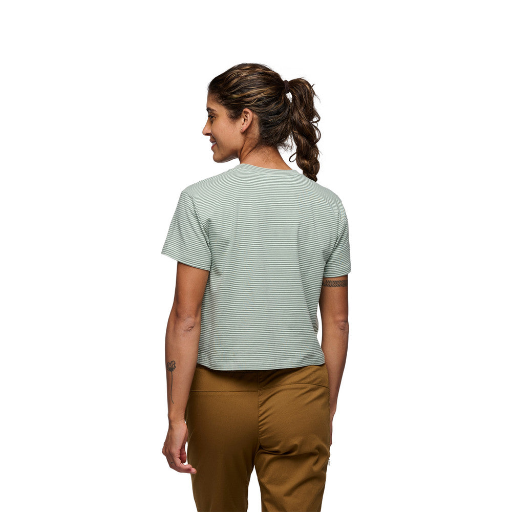 Stripe Crop Tee - Foam Green-Laurel Green