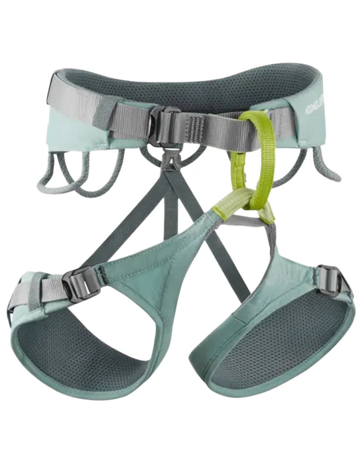 Jayne iV Climbing Harness - Dolphin