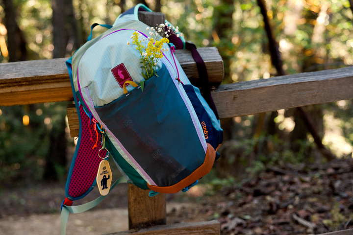 Cotopaxi Elqui 18L Backpack - Del Día