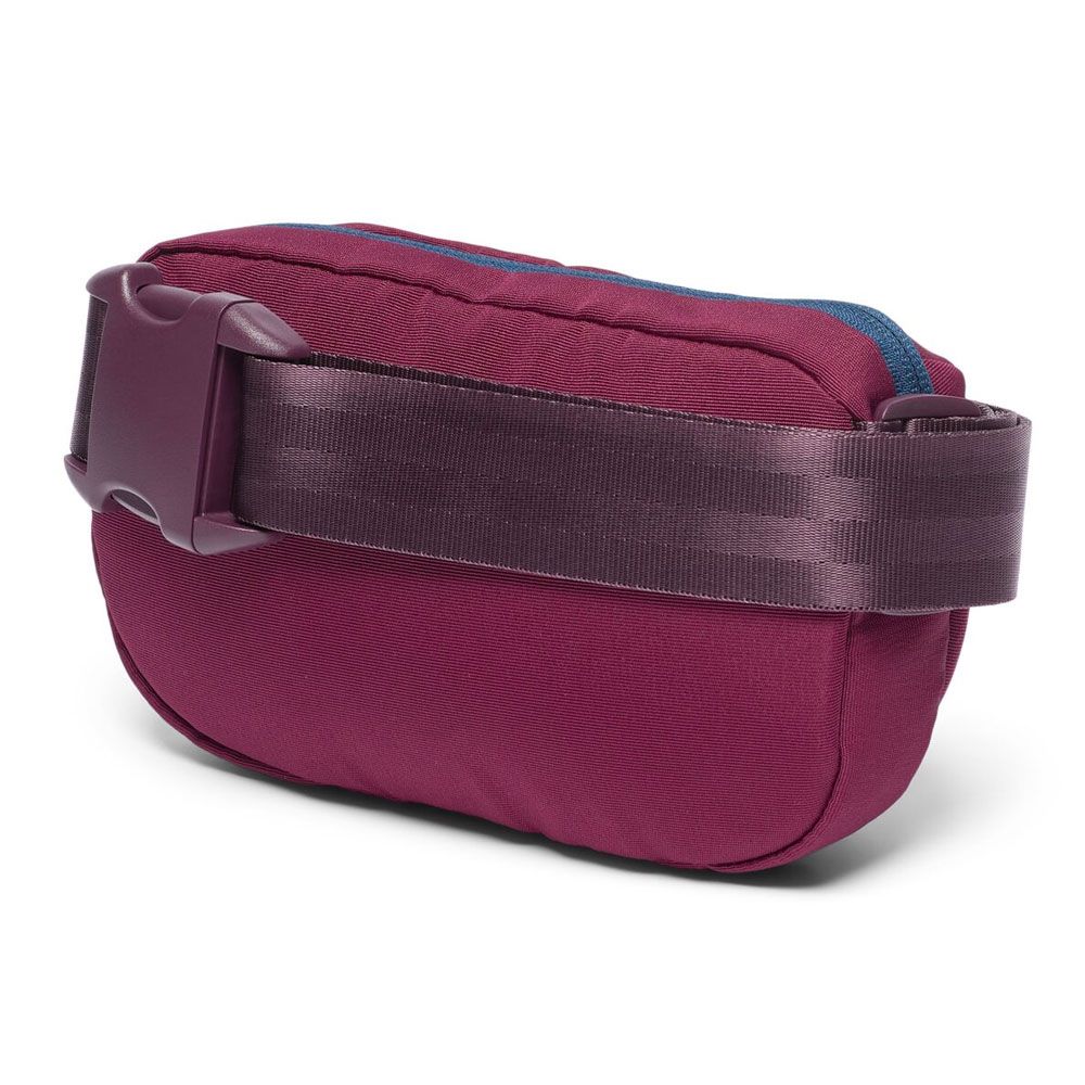 Todo 2L Hip Pack