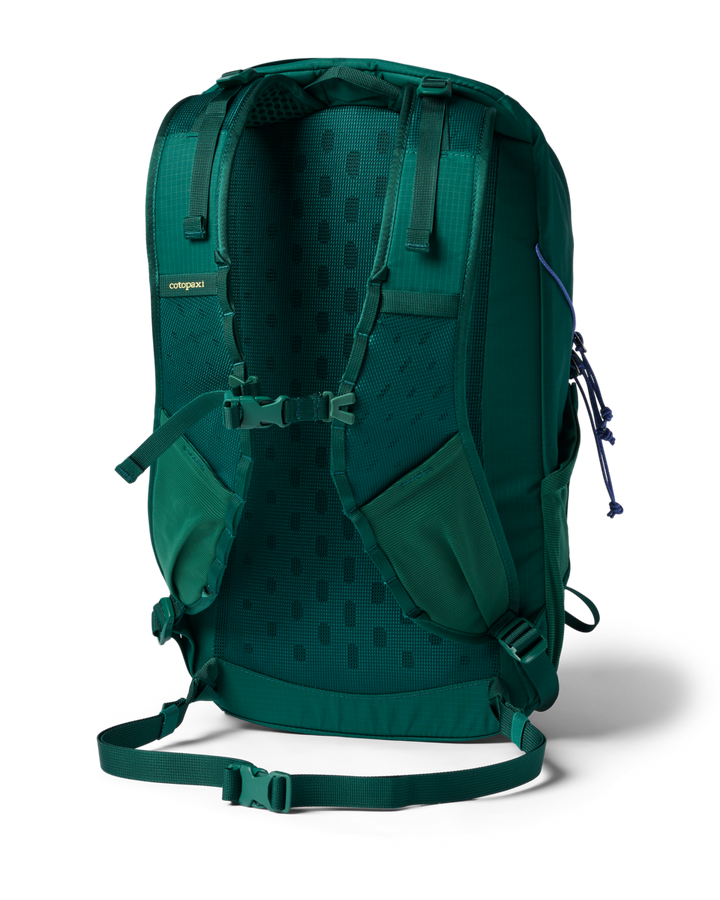 Cotopaxi Elqui 24L Backpack in Kale, back