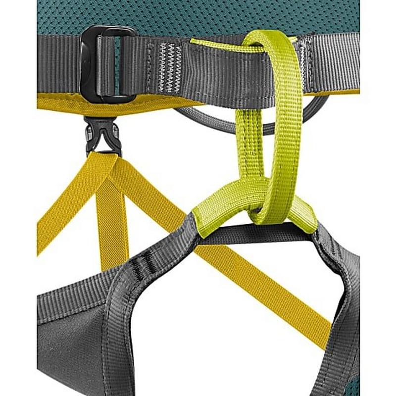 Jay III Climbing Harness - Wasabi