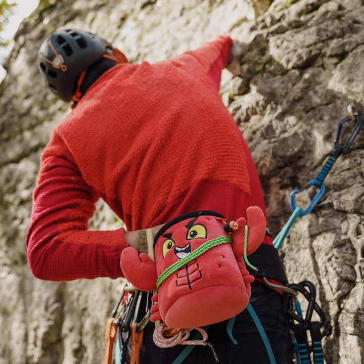 Animal Chalk Bag - Lobster